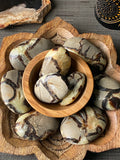 Septarian Palm Stone — main product image