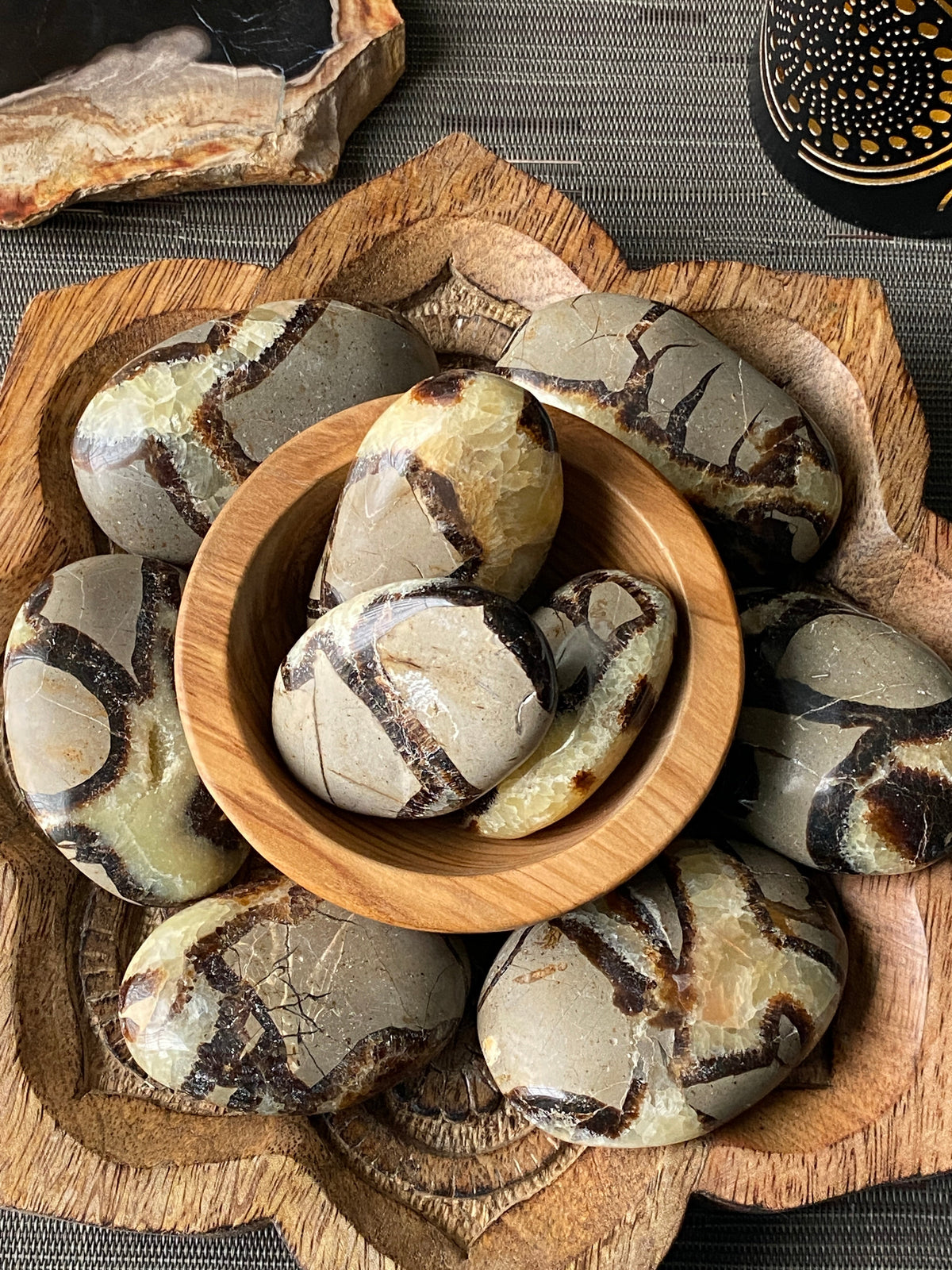 Septarian Palm Stone — main product image