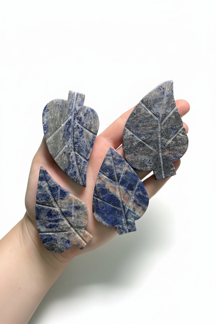 Natural Sodalite Crystal Leaf | Energized Crystals